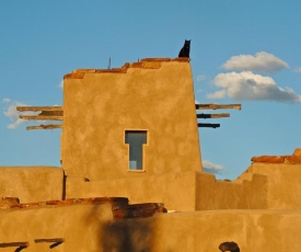 Canyon Of The Ancients Guest Ranch