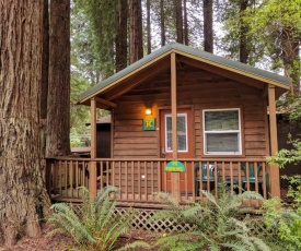 Emerald Forest Cabins