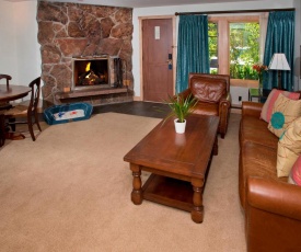 Lodge at Vail Dog Friendly C139