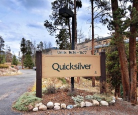 1633 Quicksilver Condo