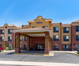 Comfort Suites Lakewood - Denver